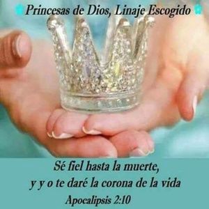 Meet your Posher, Salomon